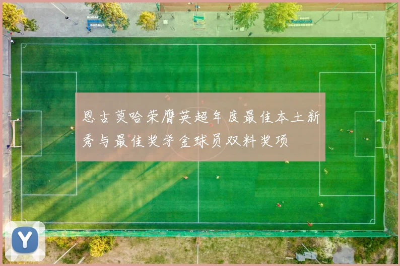 恩古莫哈荣膺英超年度最佳本土新秀与最佳奖学金球员双料奖项