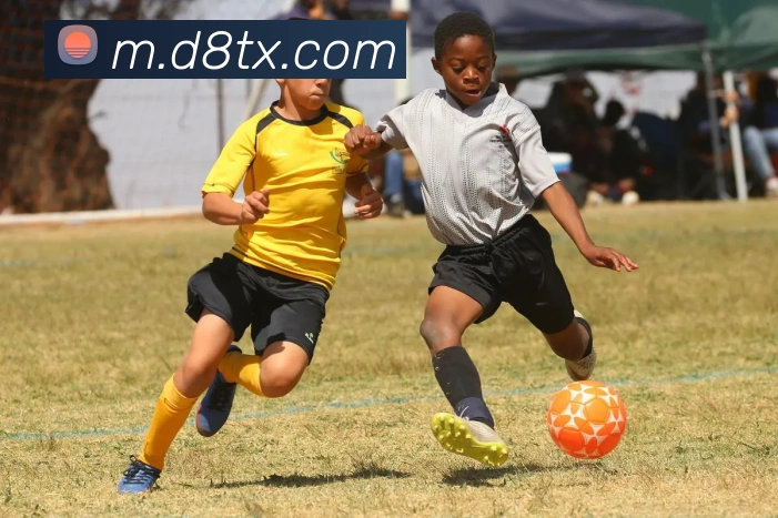 金年会体育品牌故事